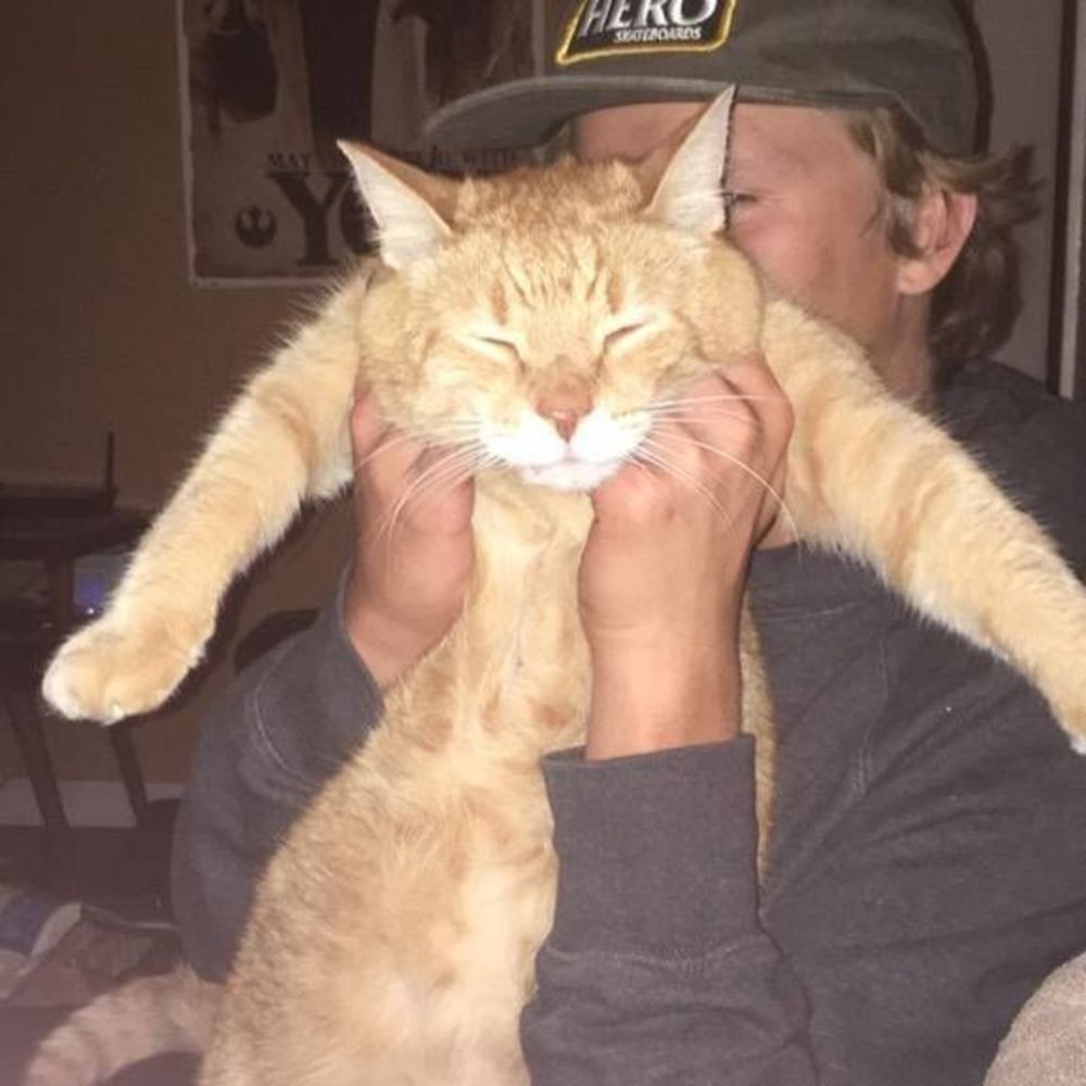 Meet your Posher, Hank